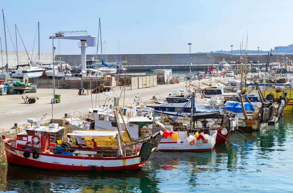 Marine Auctions