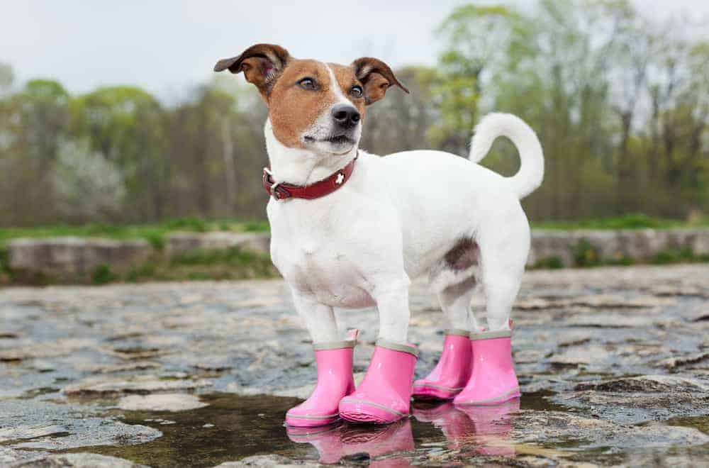 Slip-Resistant Water Shoes