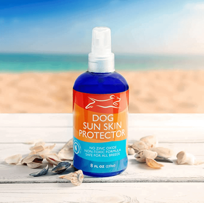 Sunscreen