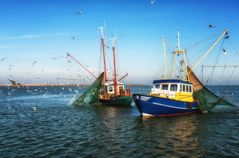 Trawlers