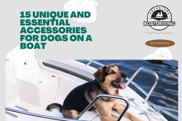 Unique and Essential Accessories for Dogs On A Boat