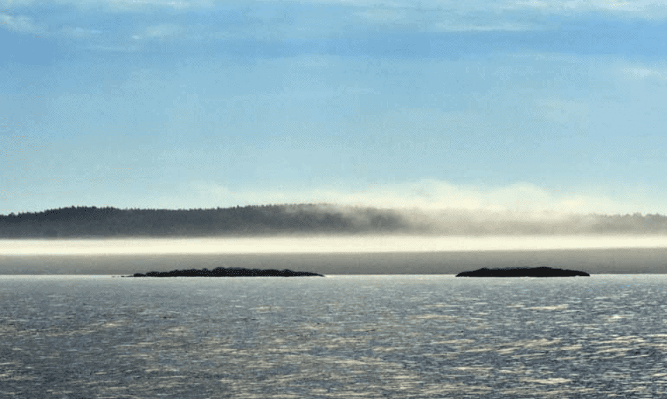 Hardy Boat Cruises, New Harbor