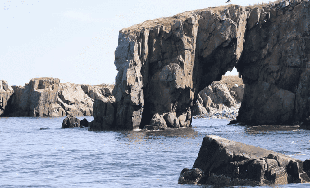 Robertson Sea Tours & Adventures, Milbridge