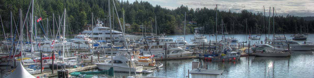 San Juan Sailing and Yachting