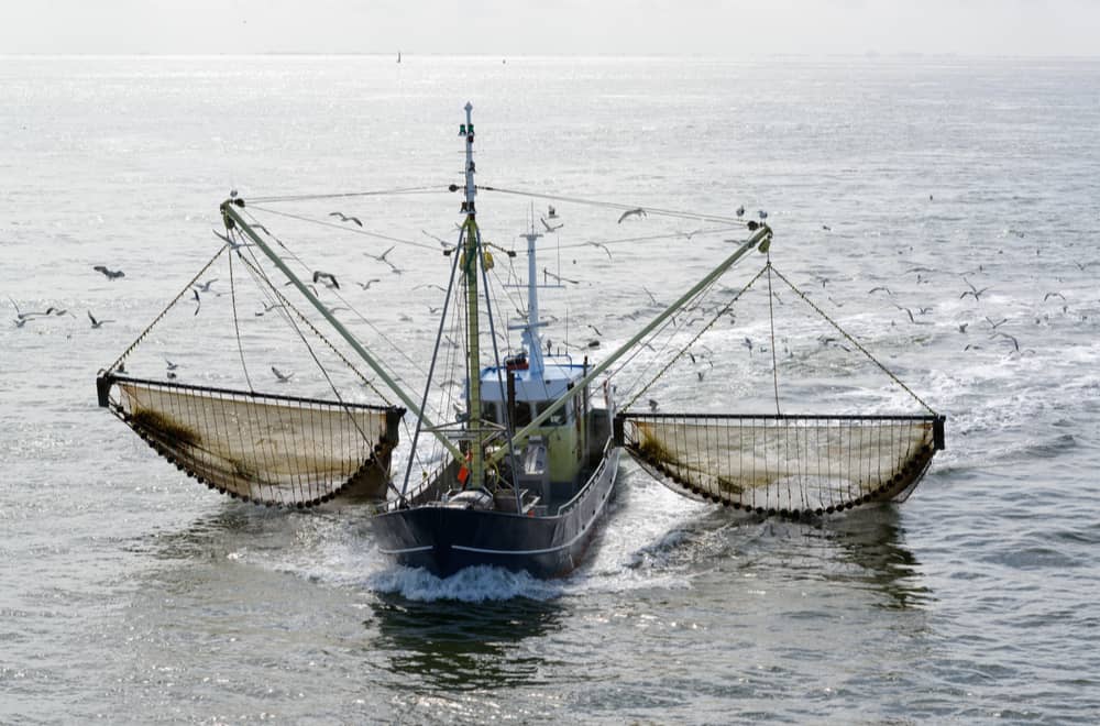 Trawlers