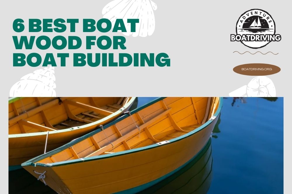 6 Best Boat Wood For Boat Building