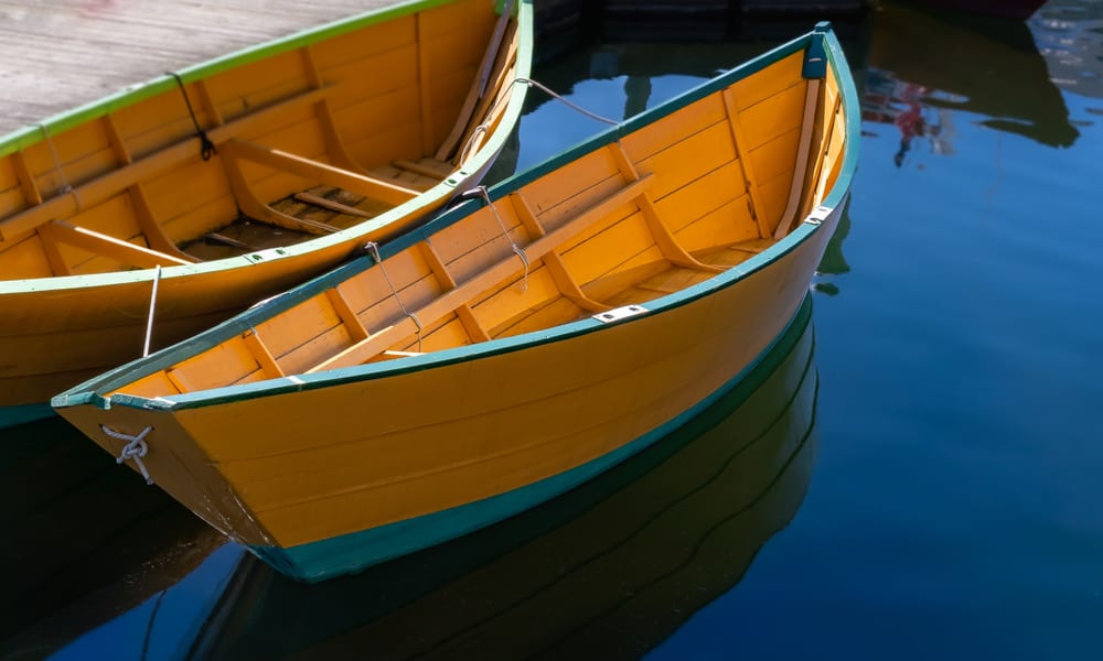 6 Best Boat Wood For Boat Building