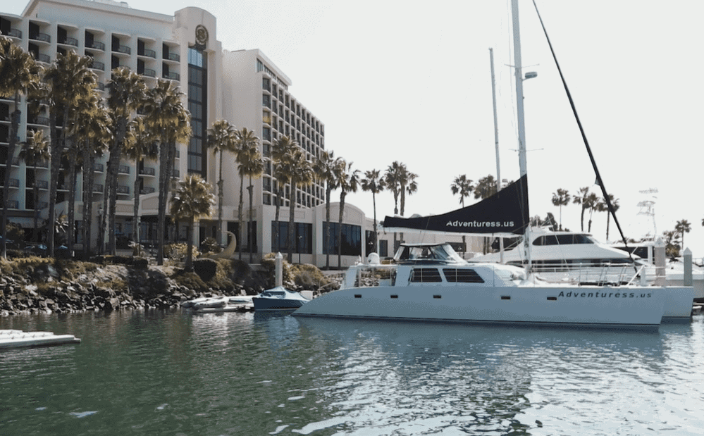 Adventure Whale Watching, San Diego