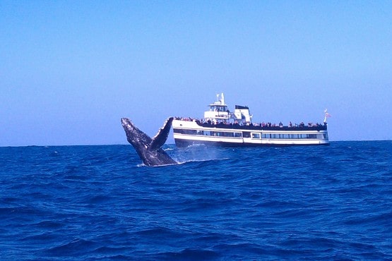 Flagship Cruises and Events, San Diego