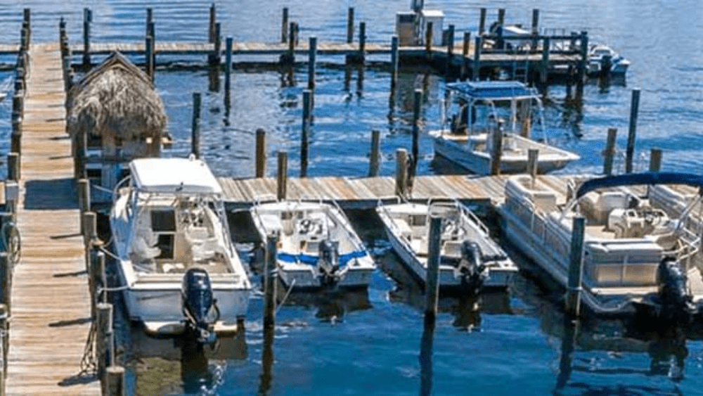 Jensens-Marina