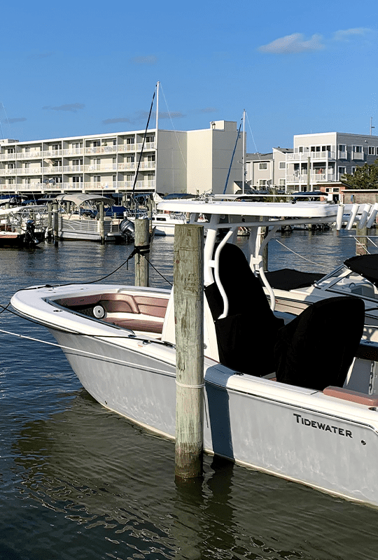 Rehoboth Bay Marina, Dewey Beach, Delaware