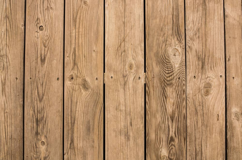 Softwoods
